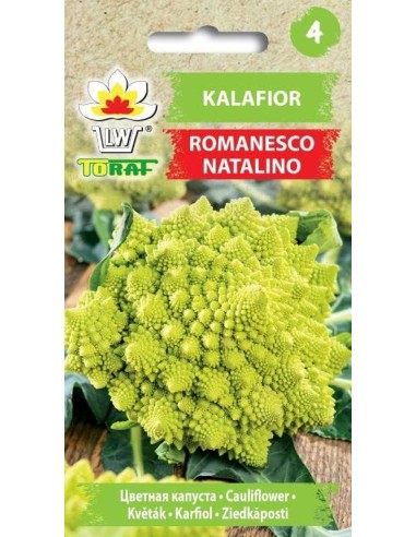 Kopūstai žiediniai Romanesco