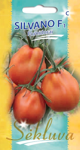 Pomidorai Silvano F1 (C grupė)