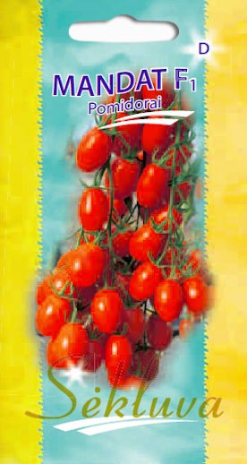 Pomidorai Mandat (D grupė)