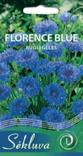 Rugiagėlės Florence Blue (1 grupė)